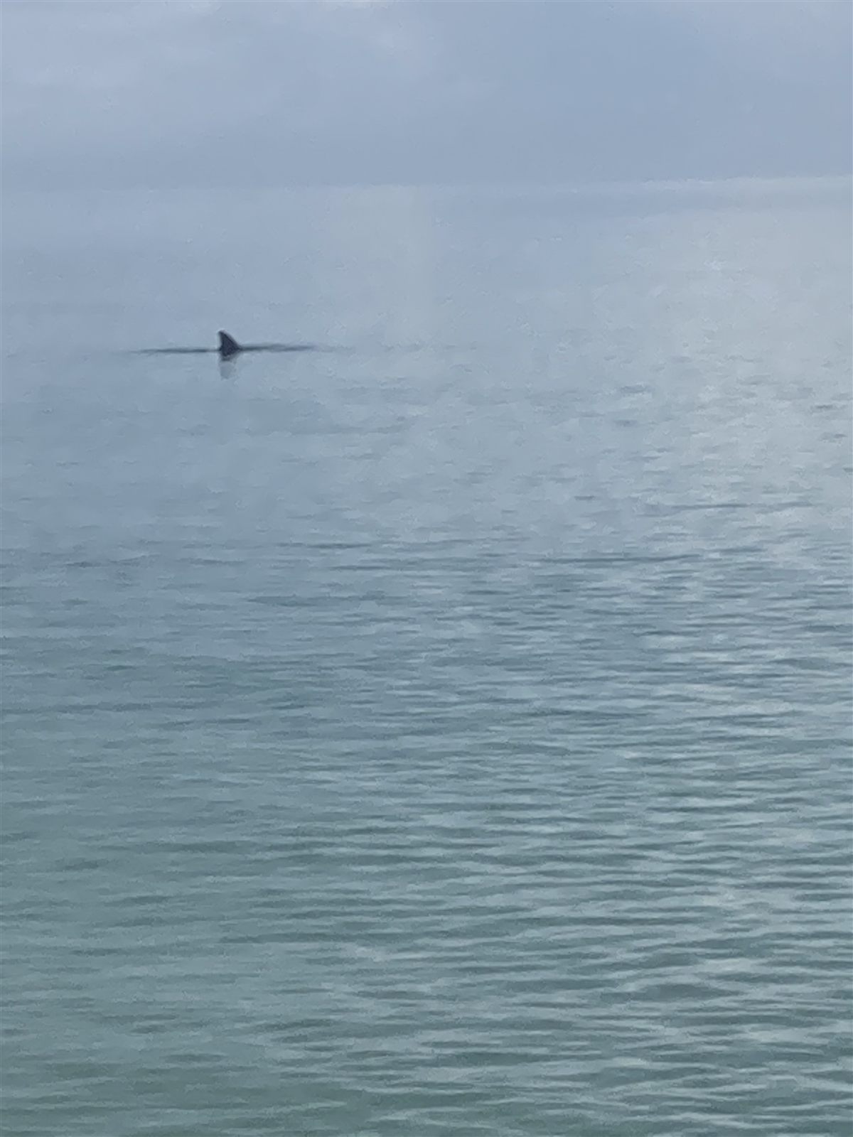 Out on the water off the coast